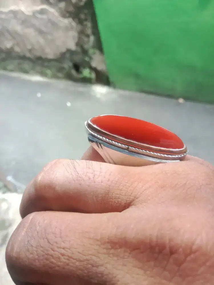 Pandan merah sisik betik rapih