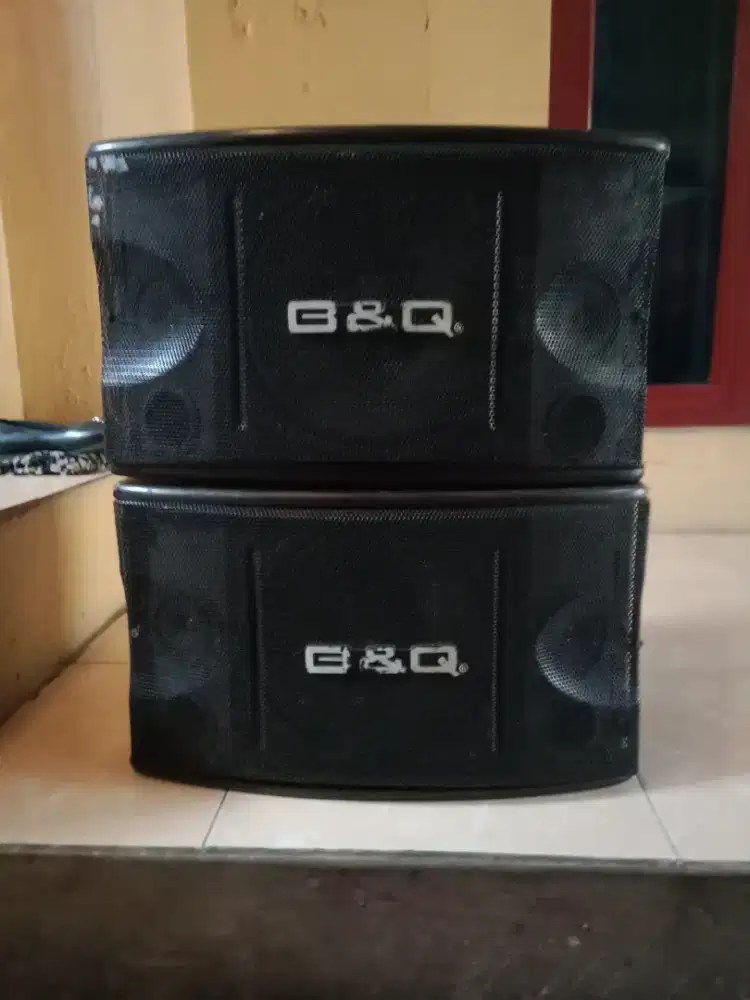 SPEAKER B&Q 10 in