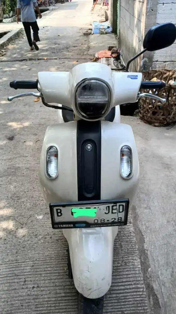 Fazzio tahun 2023