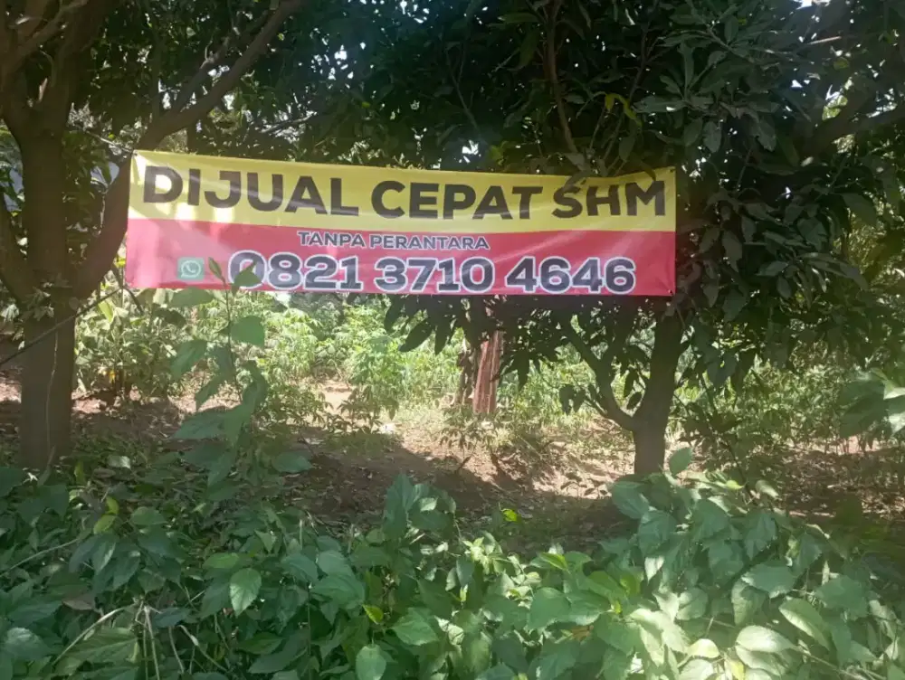 Di Jual Cepat Tanah SHM luas 800m2