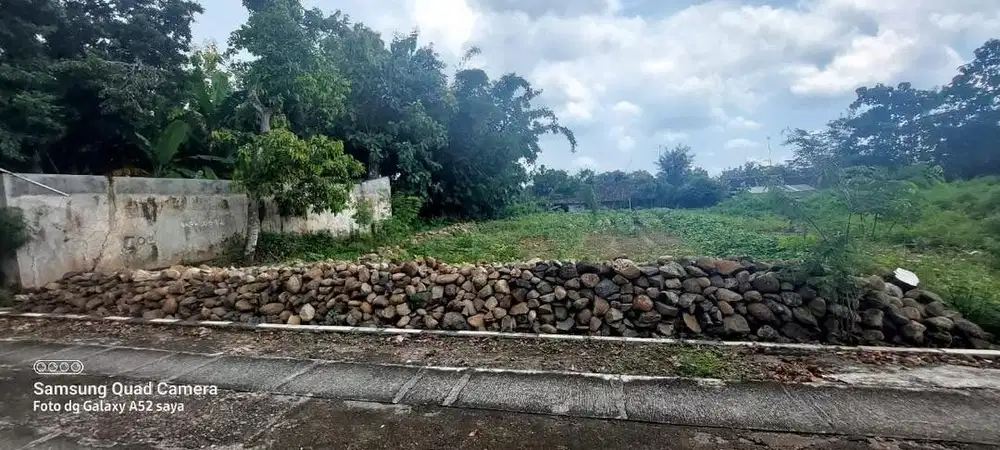 Tanah peospek cocok untuk perumahan