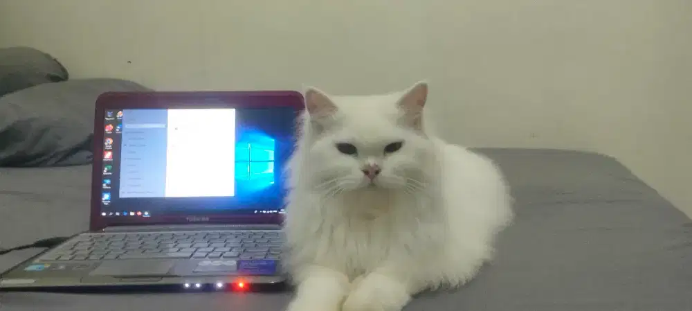Toshiba Portege T210 slim