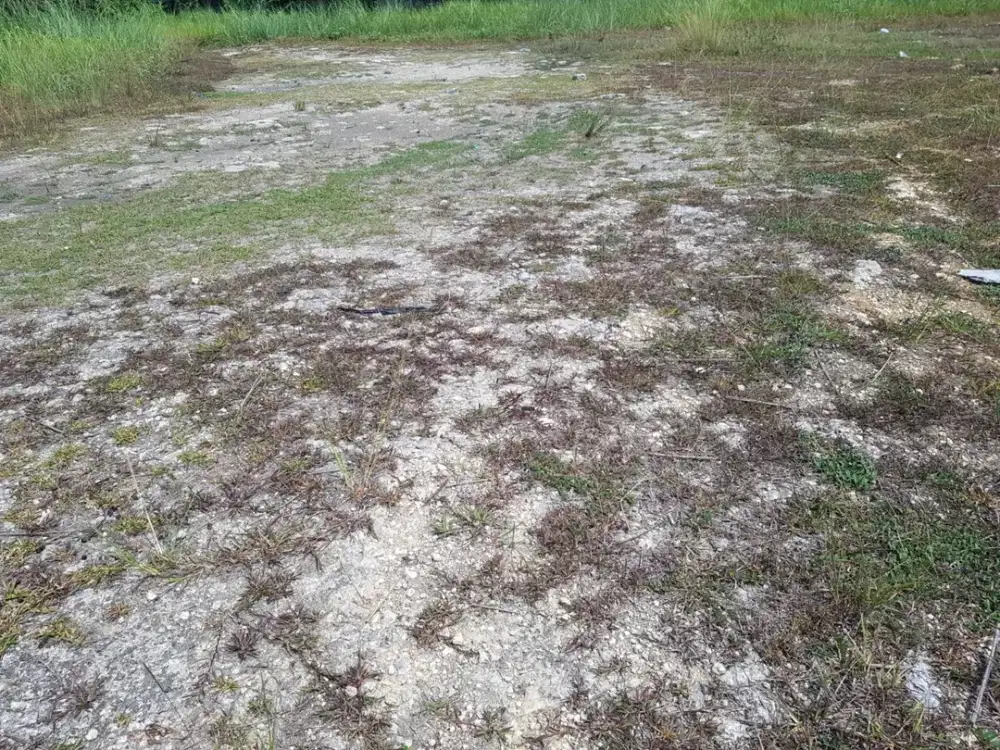 Dijual Cepat Tanah Untuk Pabrik/Gudang Lokasi Strategis Siap Bangun di Cikarang Timur