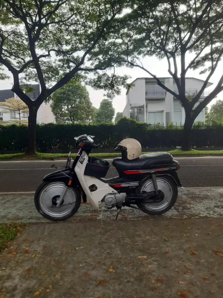 Astrea bulus 93