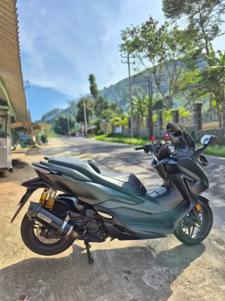 Honda forza modif low km