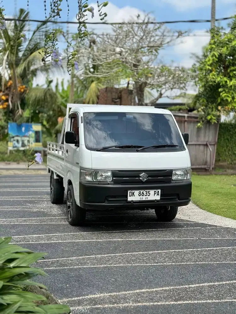 Suzuki Carry Pick Up 2020