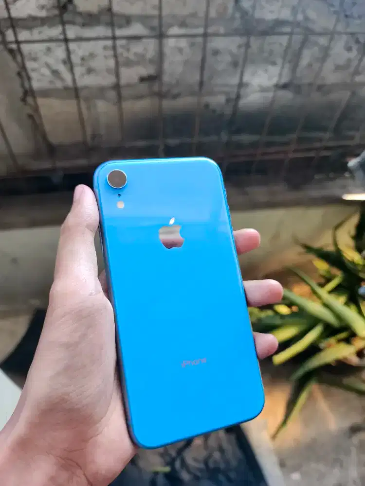 Iphone xr 128 beacukai