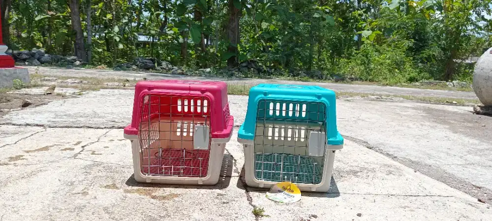 Pet cargo kucing