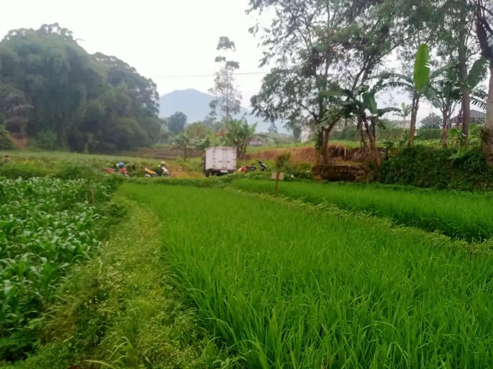 Dijual tanah sawah pinggir jalan sayap jalan wisata gunung Puntang