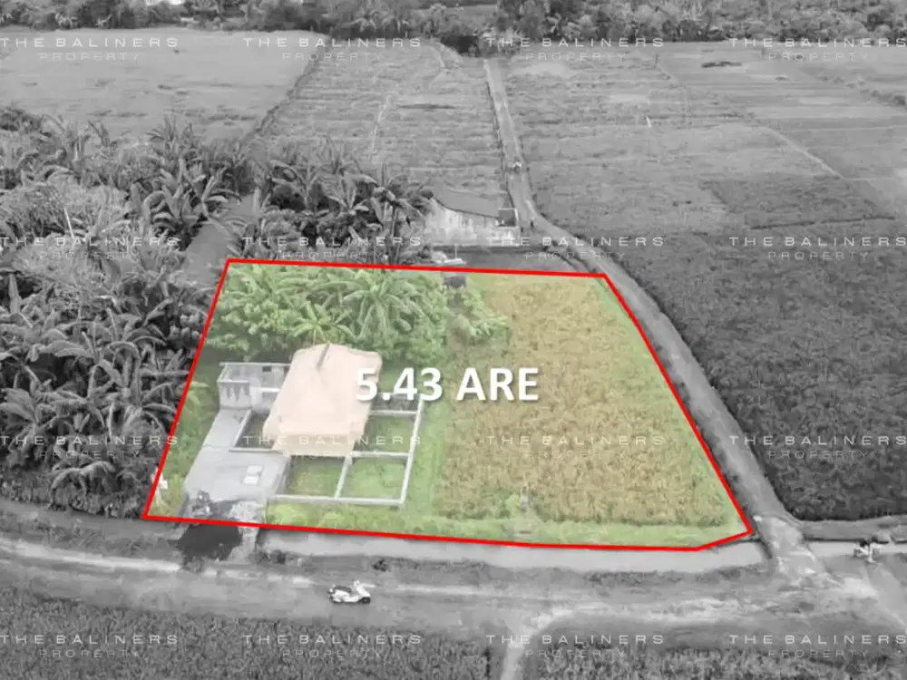 BUILD-READY LEASEHOLD LAND IN YEH GANGGA WITH RICE FIELD VIEWS
