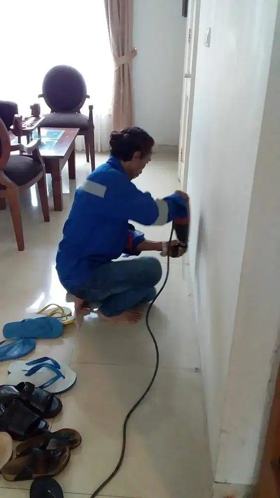 Basmi Rayap di Rumah