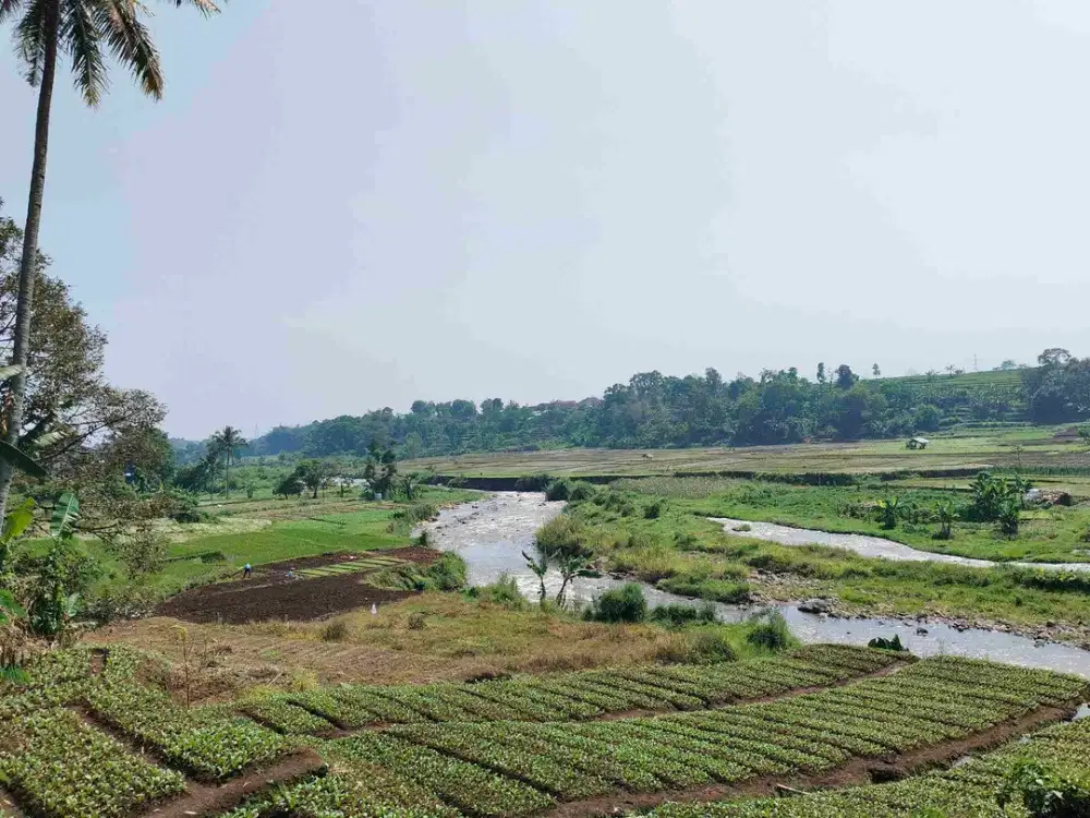tanah pinggir sungai murah bonus pohon durian view pegunungan