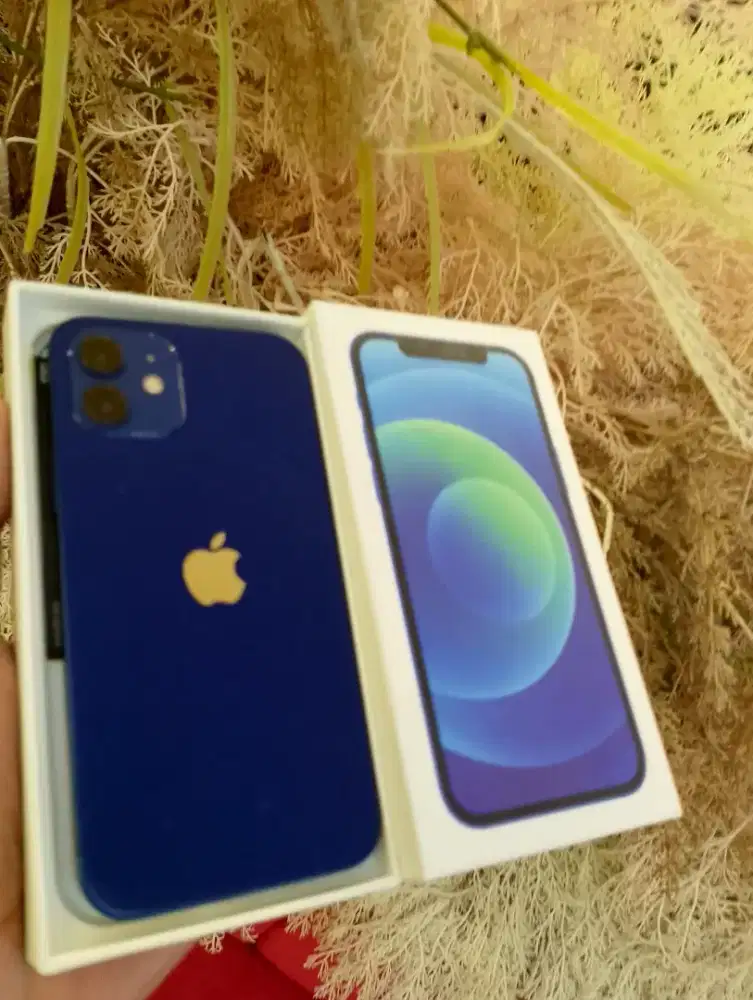 Iphone 12 128gb secara berlebih