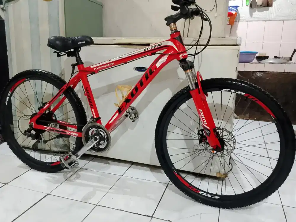 Exotic 26 Alumunium