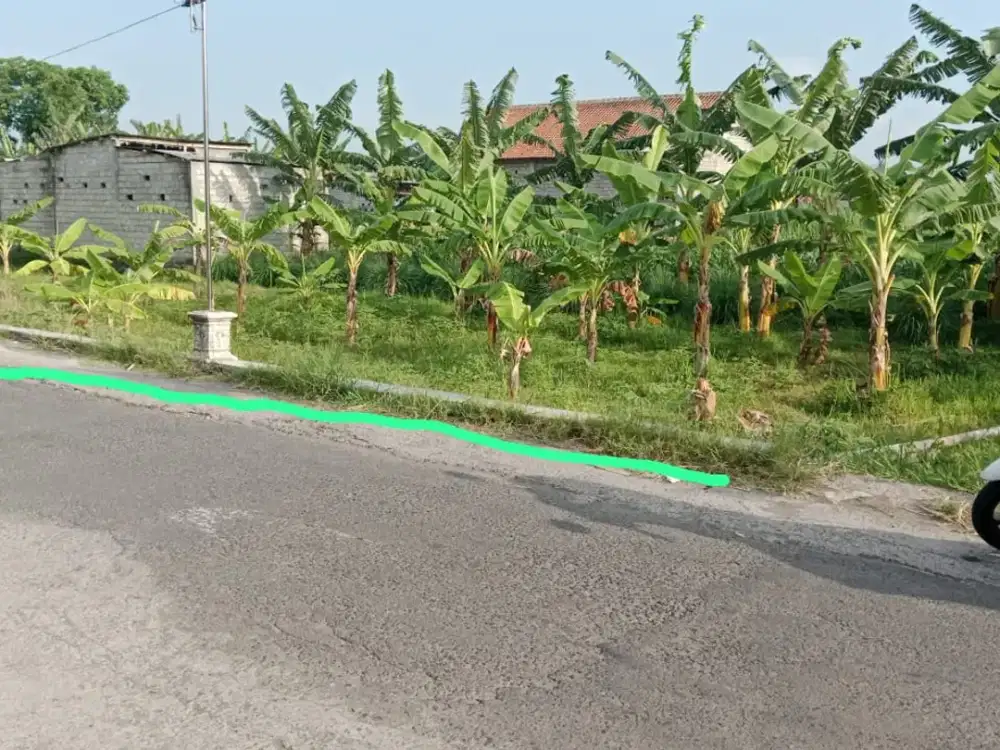 Tanah Sawah Bagus di Piyungan Bantul Yogyakarta #Kode : TS 012