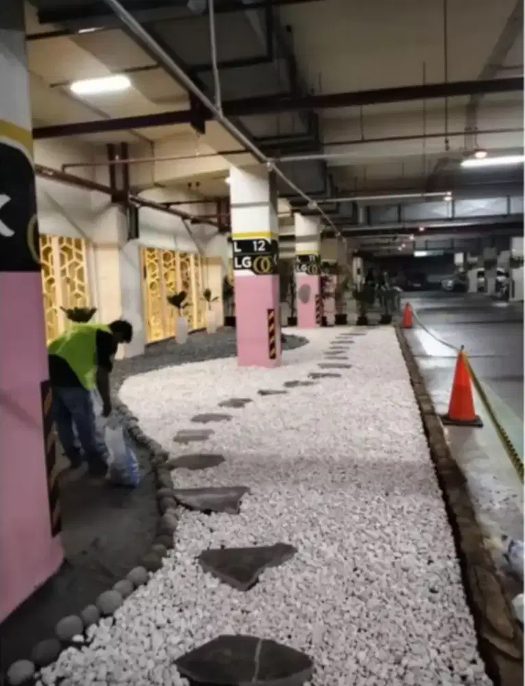 Tanaman hias mini malis kering