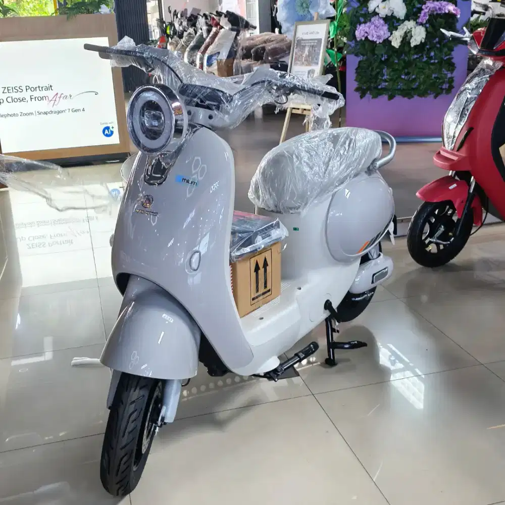 PASIFIC SPLENDID CUMA BUTUH KTP SUDAH BISA BAWA PULANG
