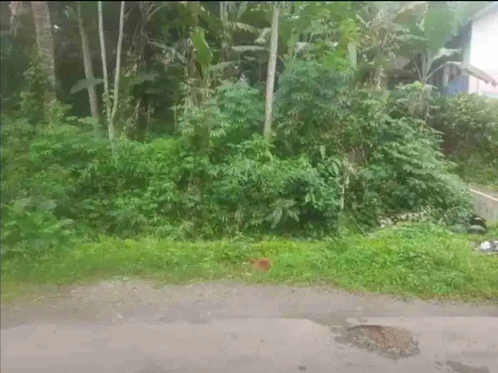 Tanah 158 m2 Ciater Subang