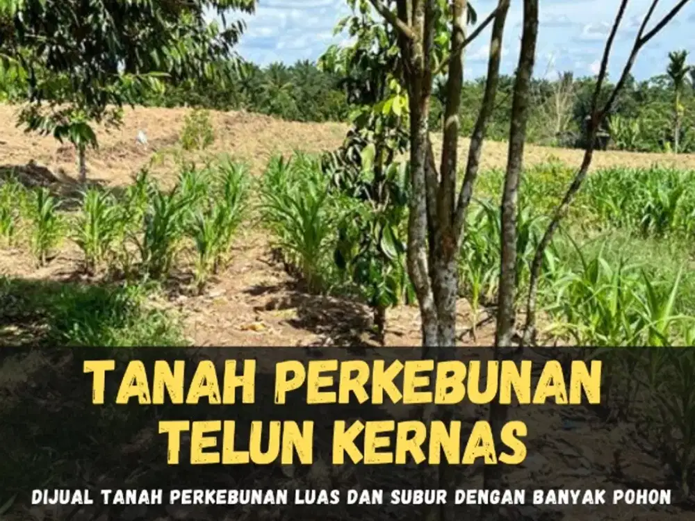 DIJUAL TANAH PERKEBUNAN DAERAH TALUN KENAS