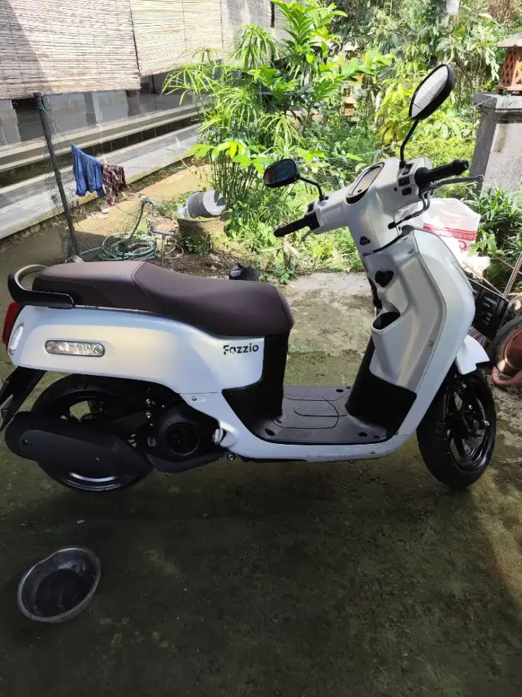 Fazzio Putih tahun 2024 tipe teratas