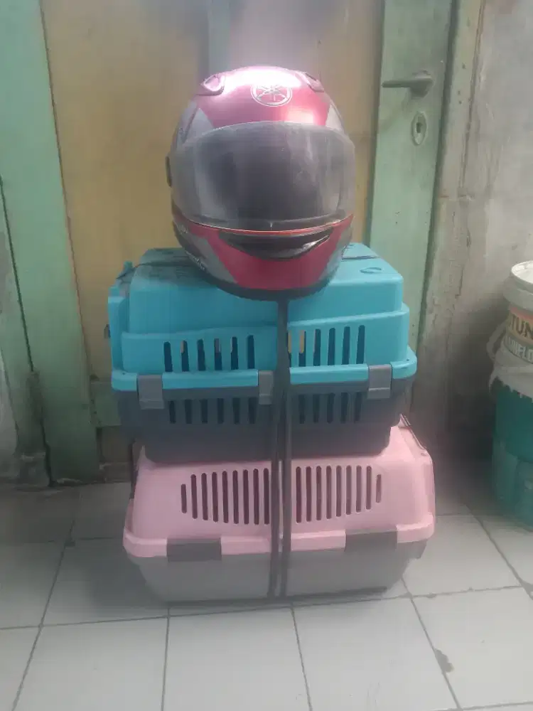Kandang Kucing Anggora+Helm Fullves