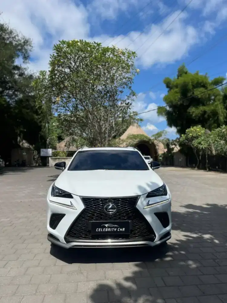 KM 16.000 an Lexus NX 300 F Sport Sonic Quartz Metalic