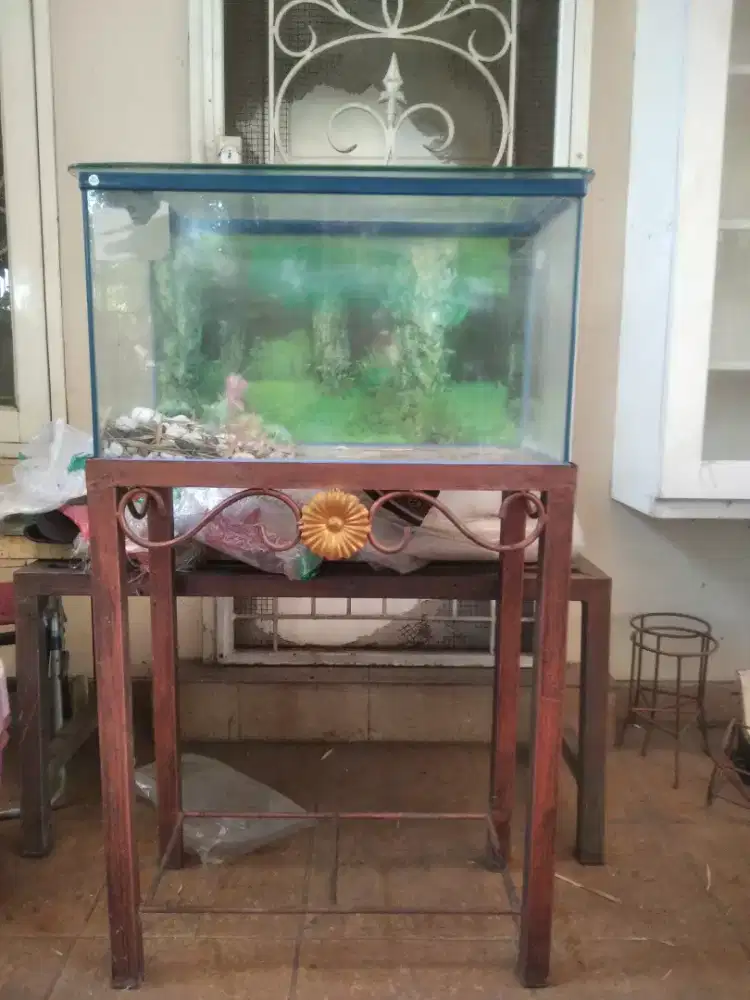 Jual aquarium kecil beserta rak nya