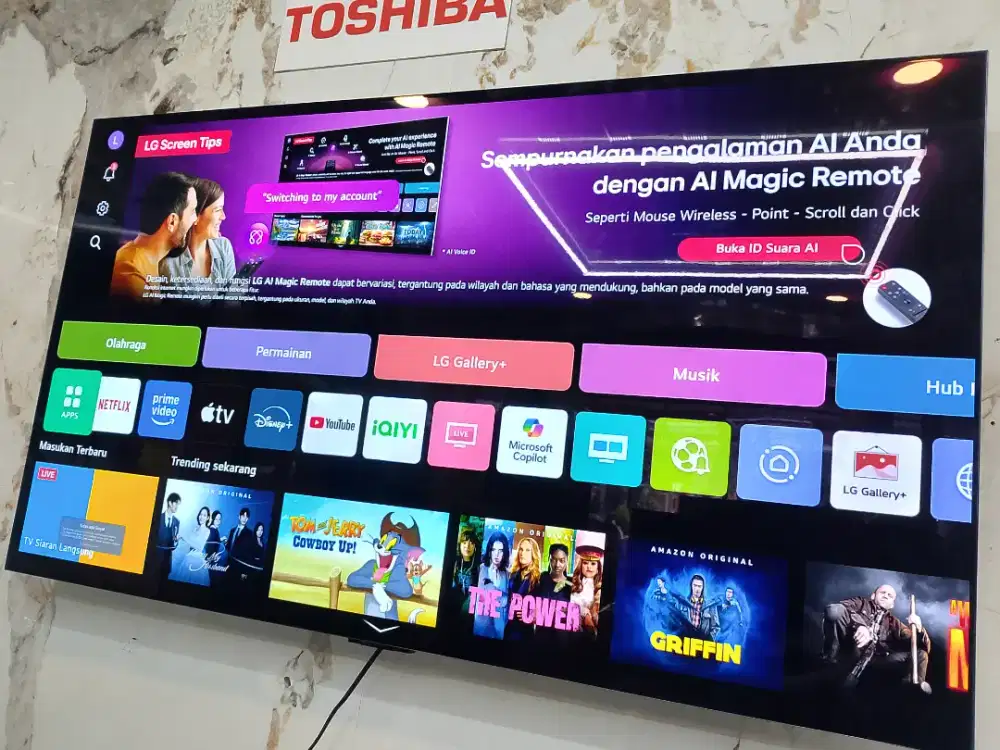 SEMART TV LG OLED 55 INCH C5 X DISPLYA