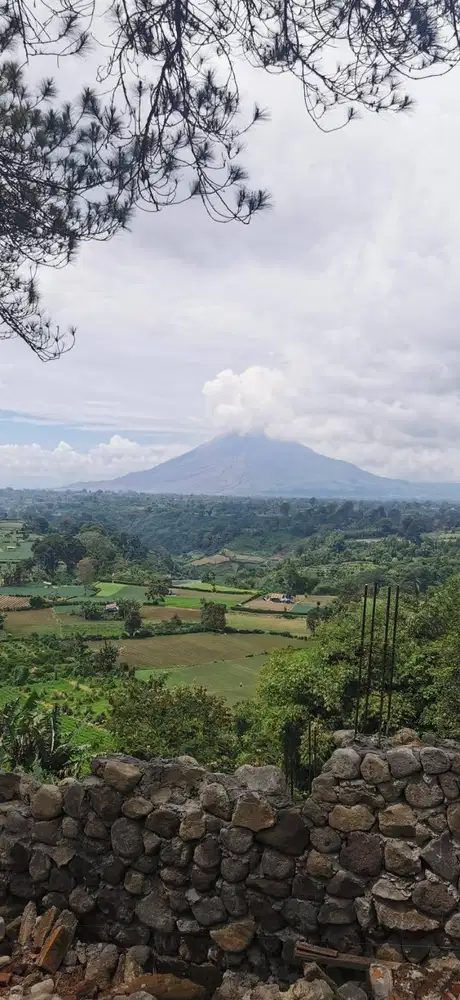 Dijual lahan Gundaling 3440m2 View Gunung Sinabung