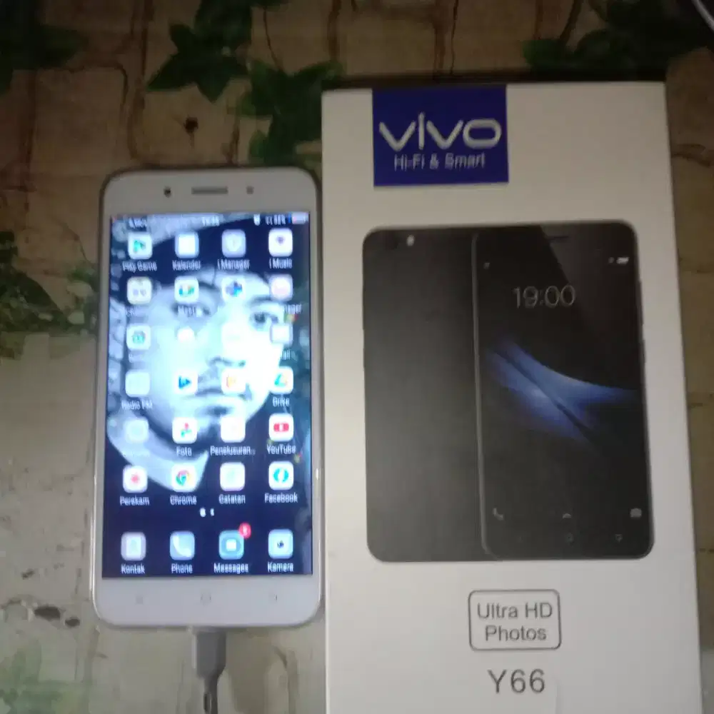 Hp vivoY66+dus+ cesan
