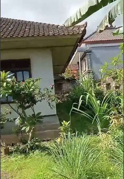 Dijual Tanah di Balian! Lokasi Bagus & Harga Menarik!