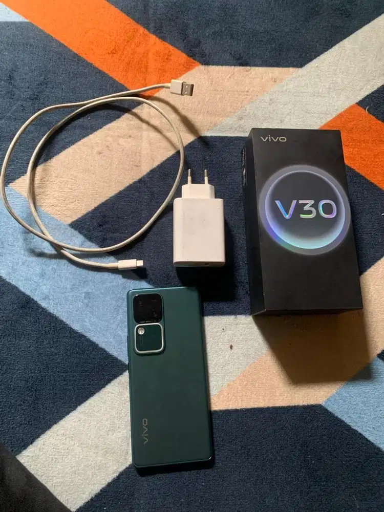 Vivo V30 5G 8/258