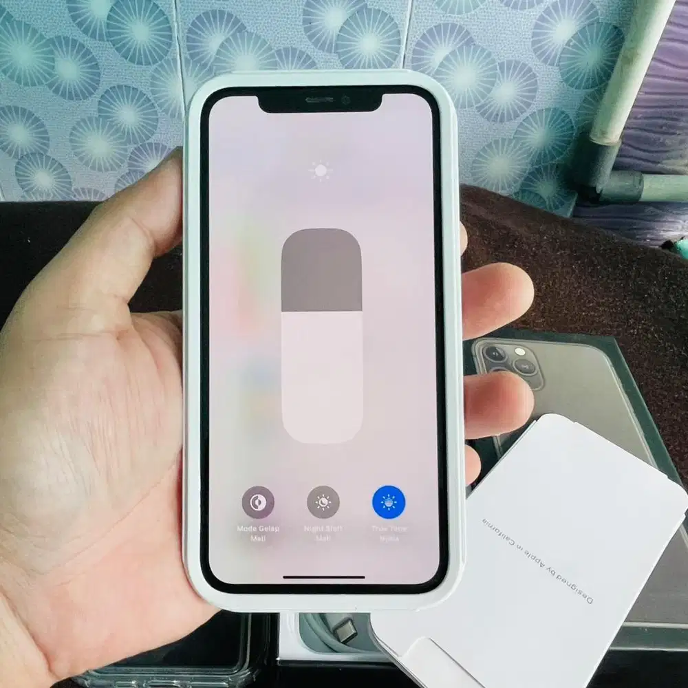 iPhone 11 Pro 256GB Register
