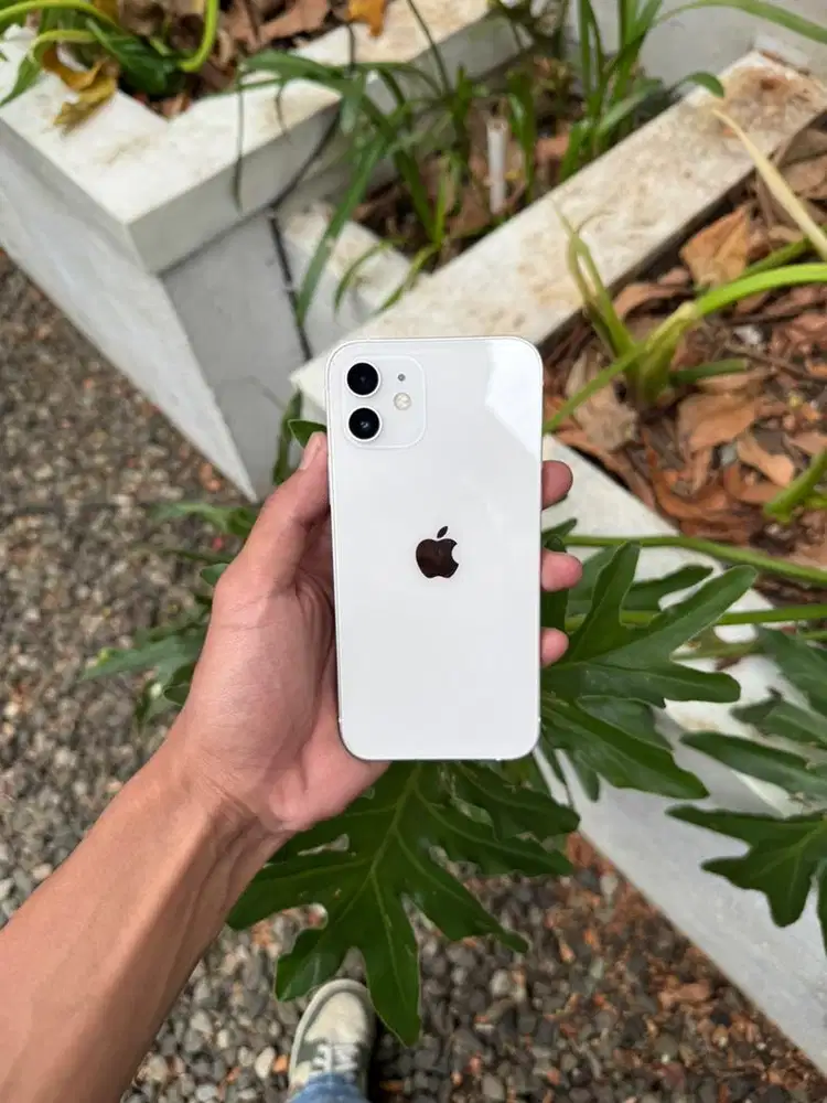 iphone 12 128gb
