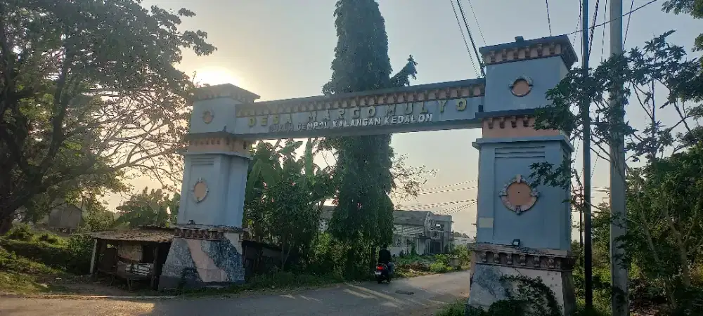 Jual Tanah di Perumah  Dalem prawito Ds Mintomulyo juana