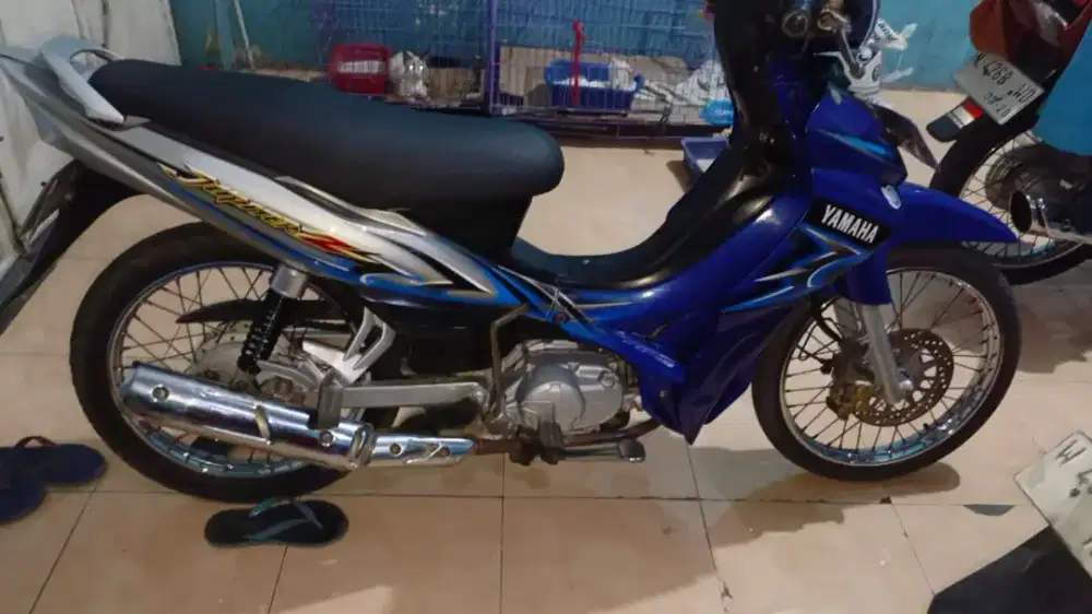 Jupiter burung hantu