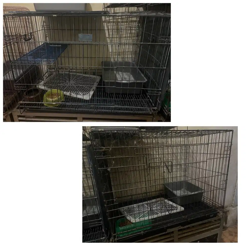 Kandang kucing 90 cm yg tebal