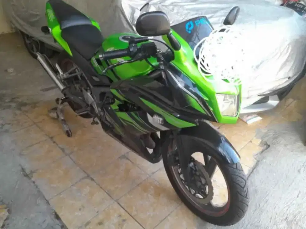 Kawasaki Ninja RR New SE