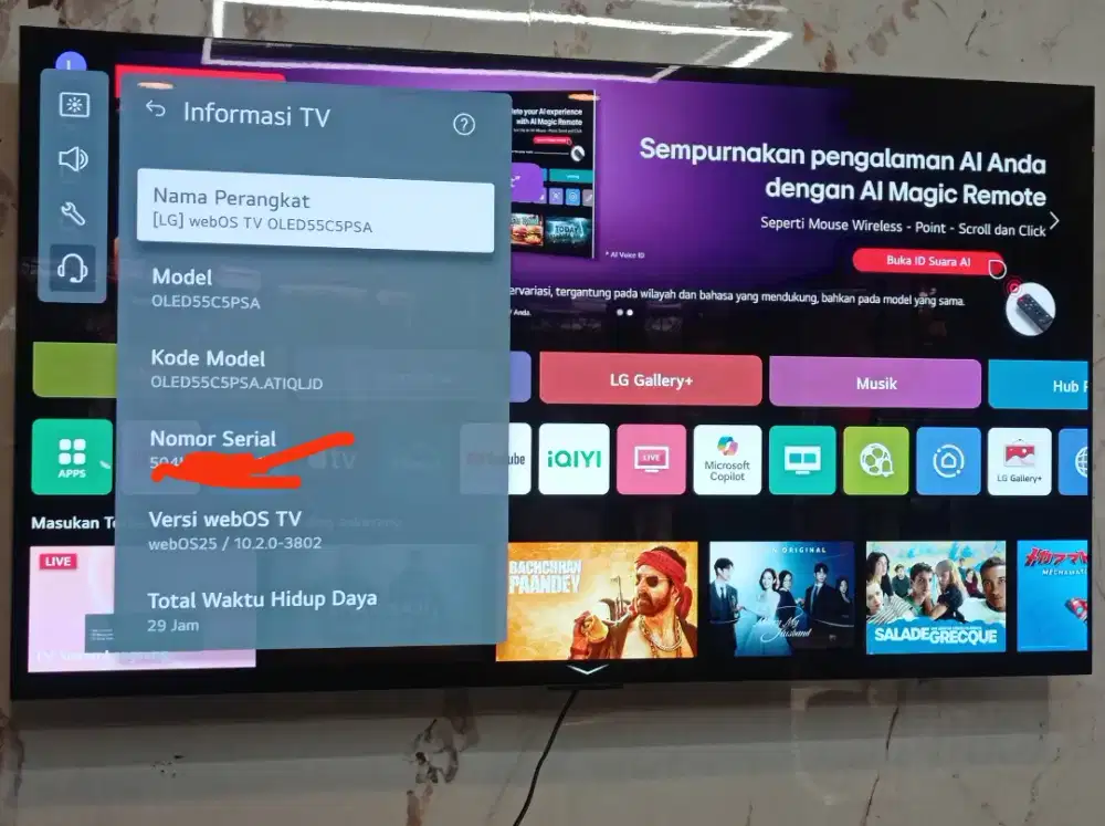 LG 55 inch OLED C5 HDR4K