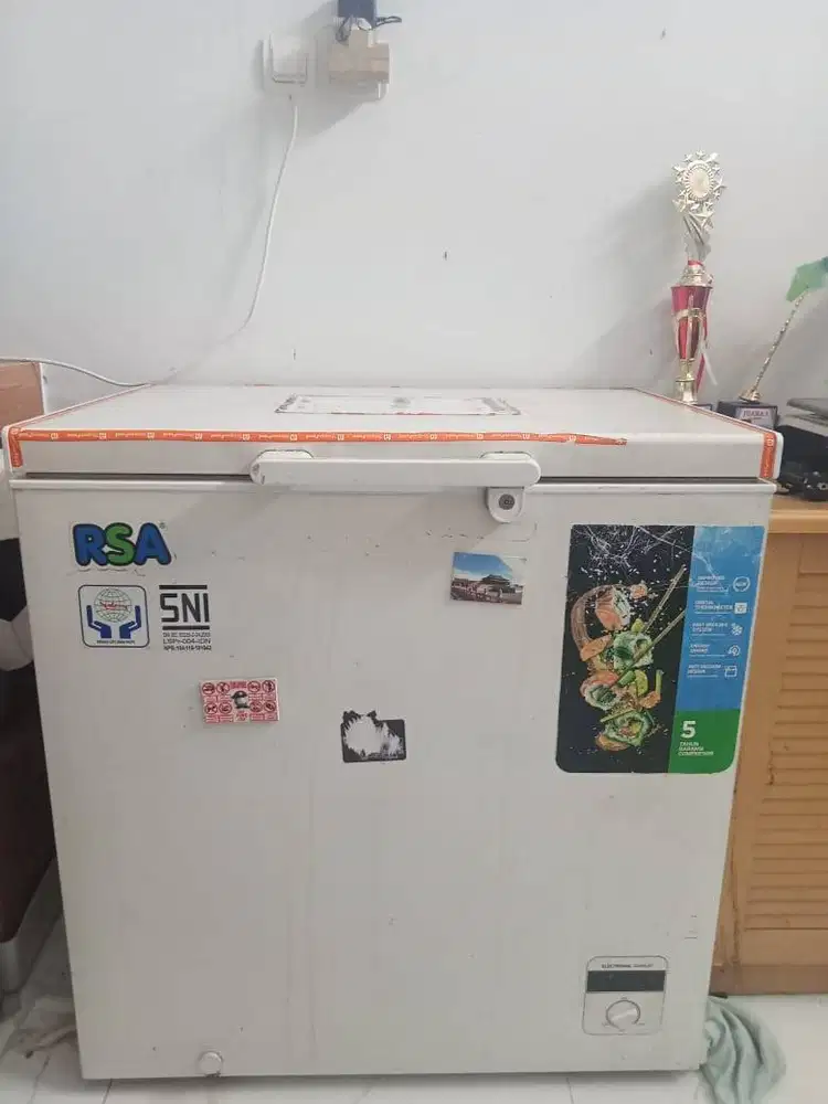 Freezer RSA 210Liter