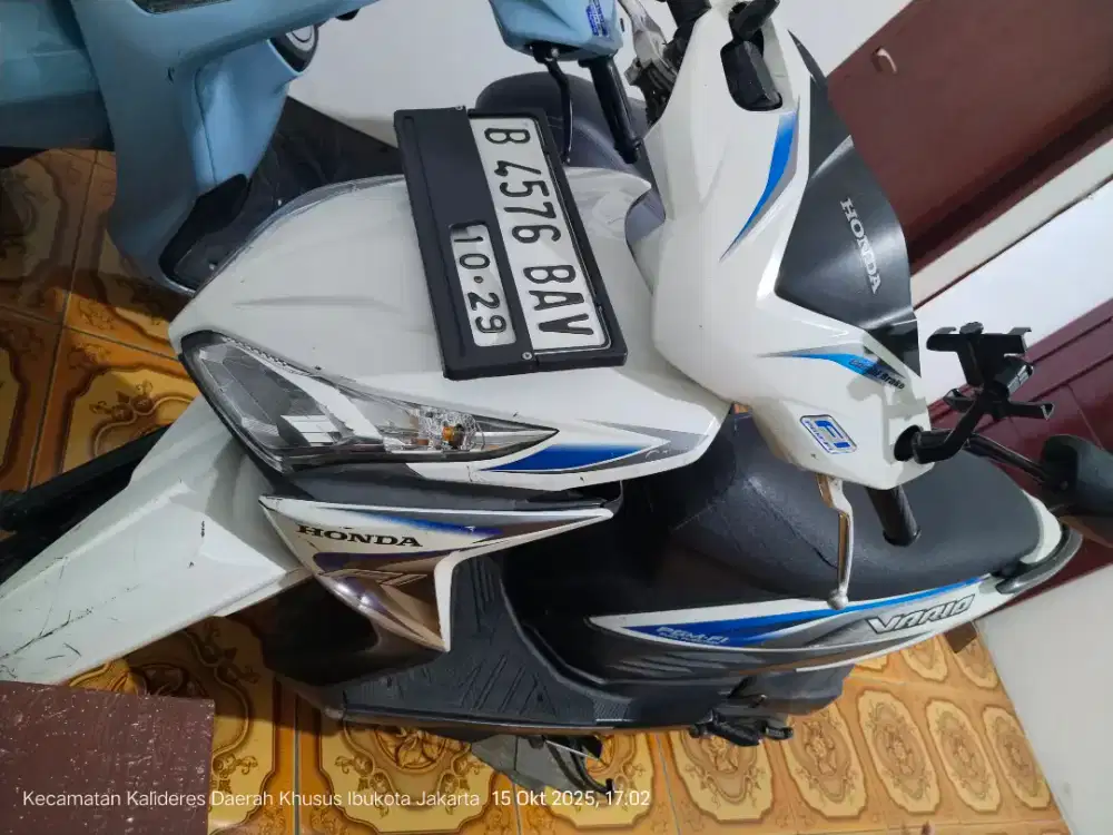 Vario Agnes 110 cc