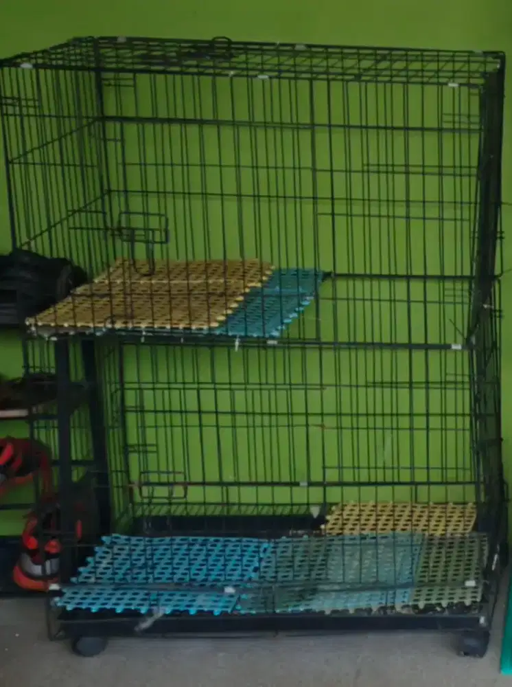 Kandang kucing Bekas