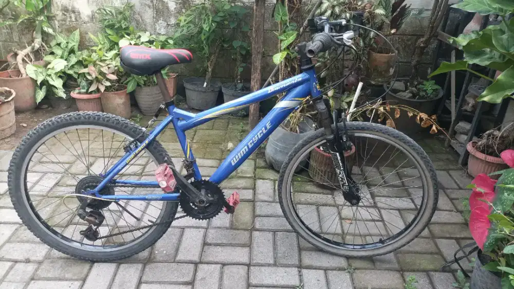 Wimcycle diamonte ukuran ban 24 oke