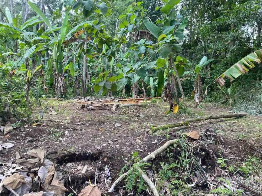 tanah murah  dekat dengan ubud