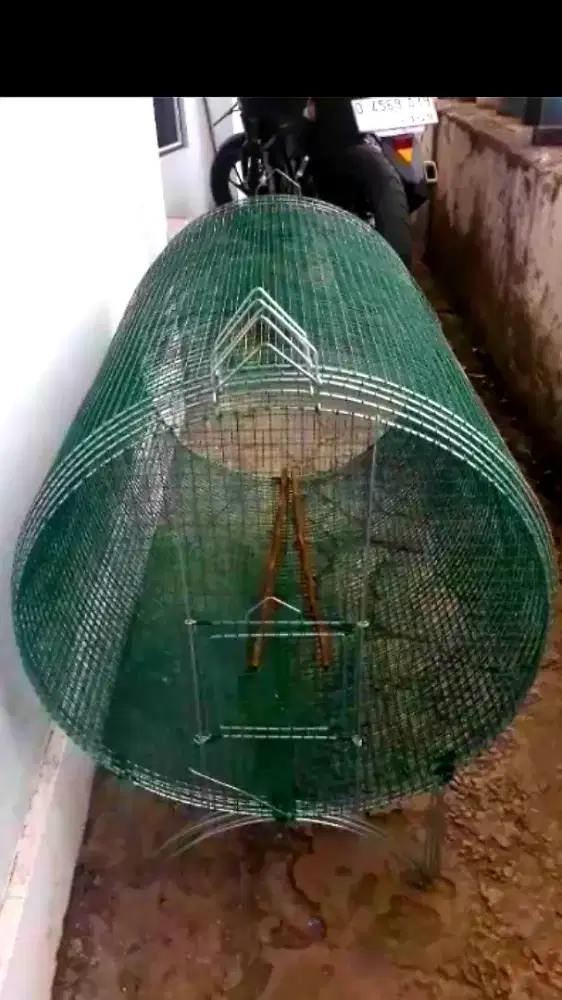 KULIARAN MURAI PANJANG 5 METER MULUS