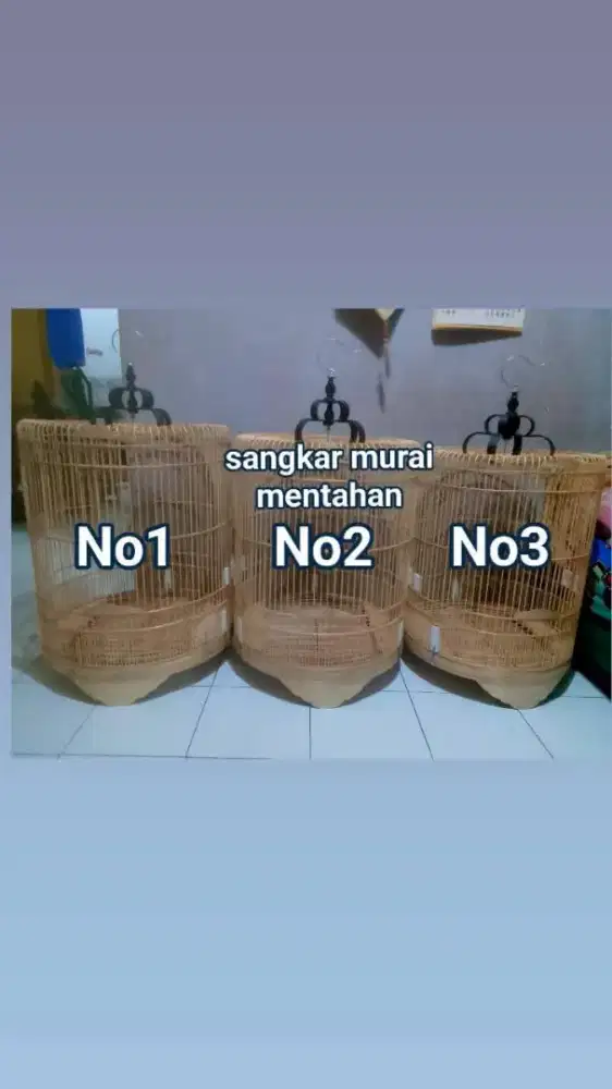 sangkar murai mentahan