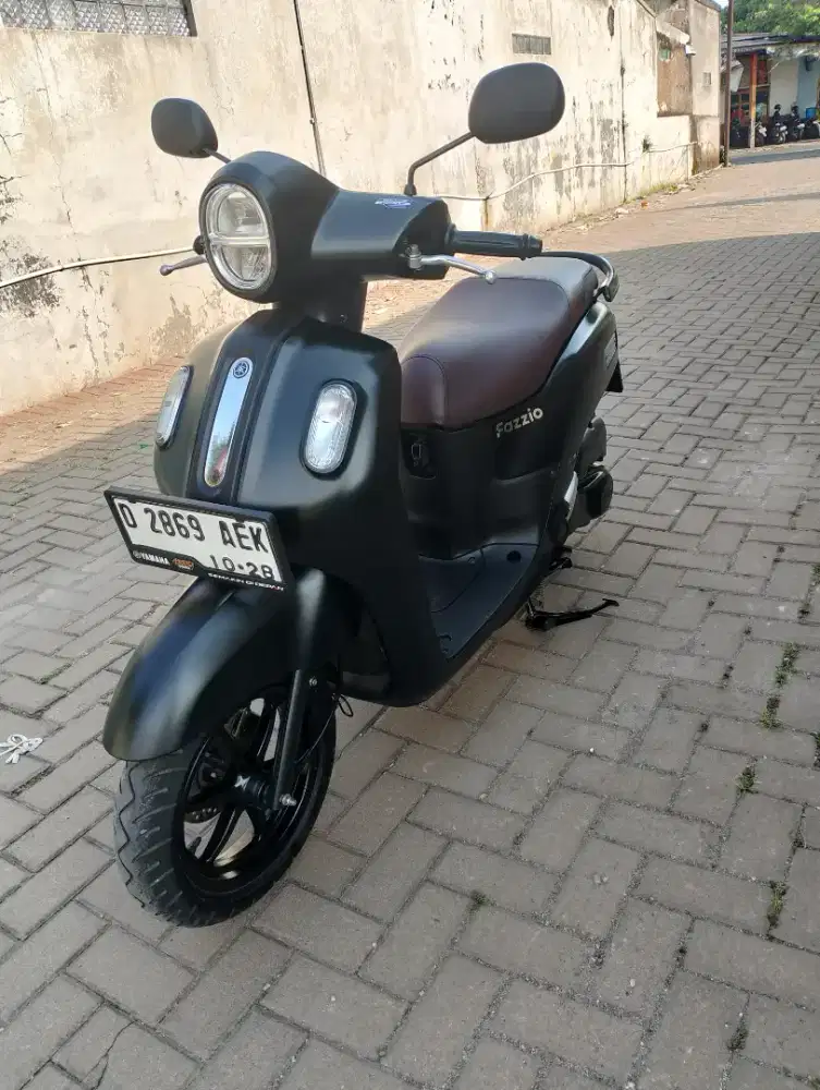 Fazzio Thun 2023 kodya mulus
