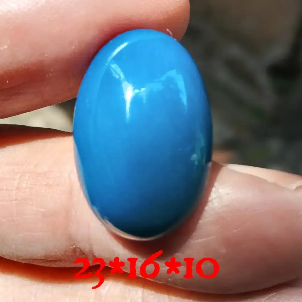 Natural bacan Doko gulau dim 23*16*9 net harga no php