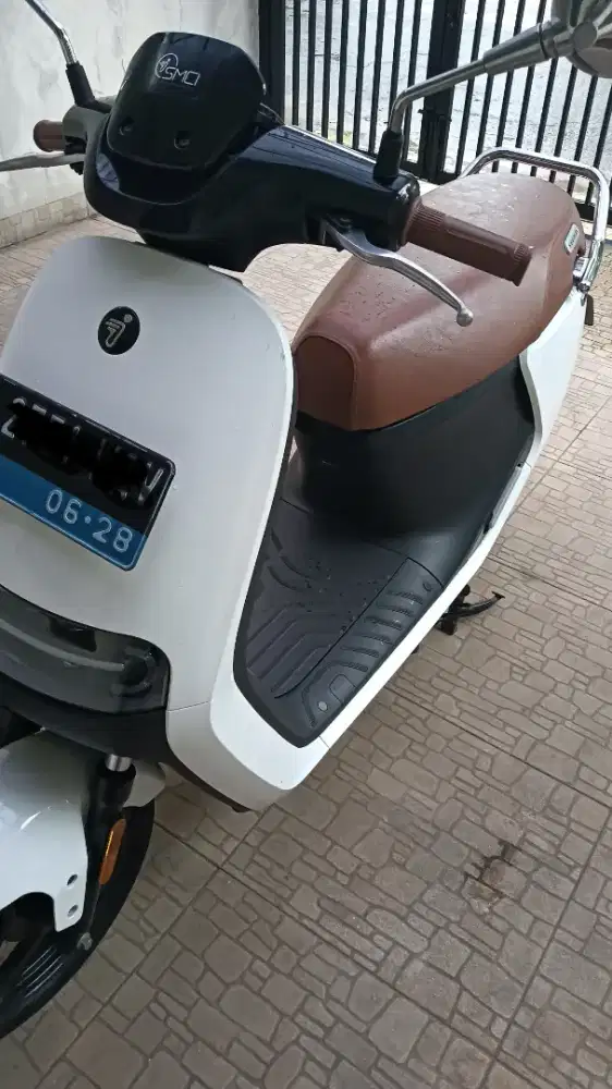 Molis_segway_e110L
