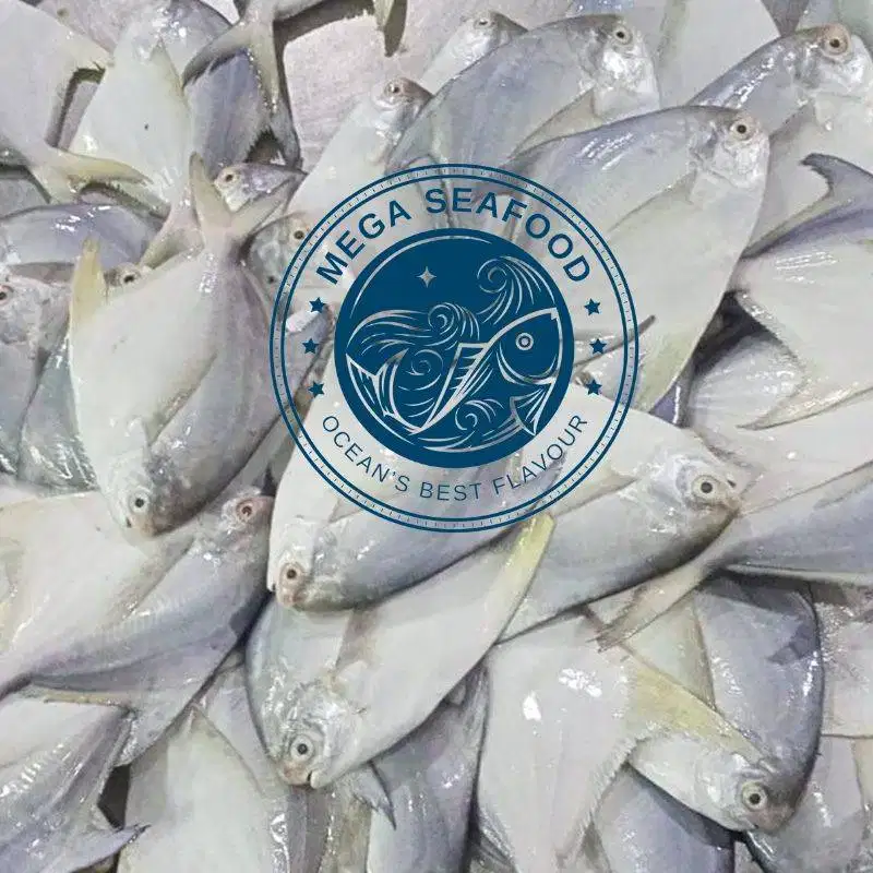 Aneka Fresh Seafood - Ikan Udang Cumi